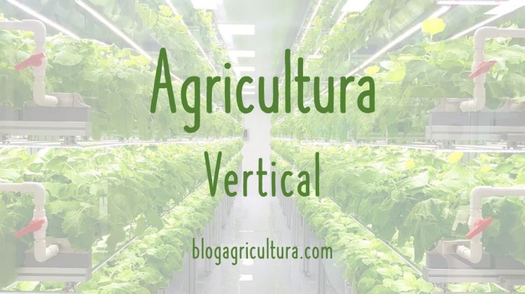Agricultura Vertical