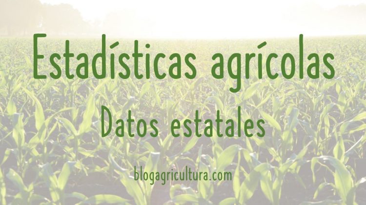 Estadísticas Agrícolas Datos Estatales