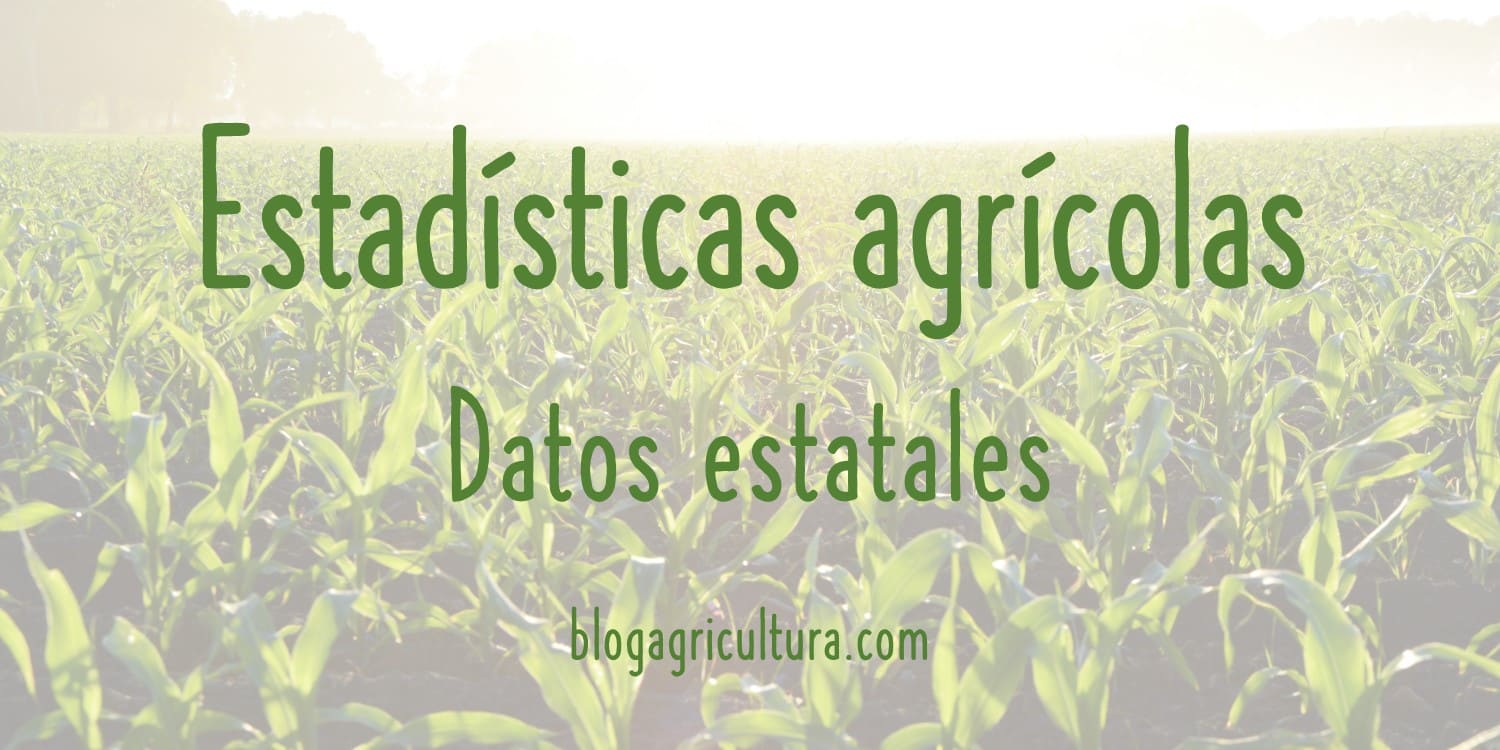 Estadísticas Agrícolas Datos Estatales