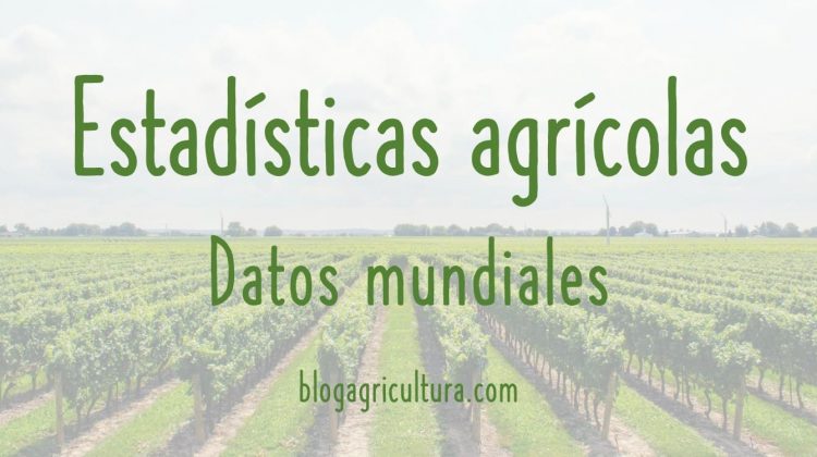 Estadísticas Agrícolas Datos Mundiales