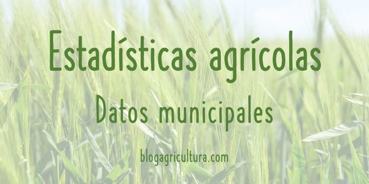Estadísticas Agrícolas Datos Municipales