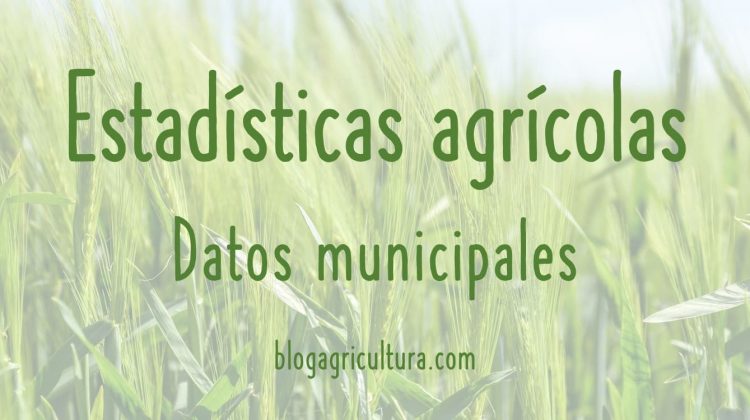 Estadísticas Agrícolas Datos Municipales