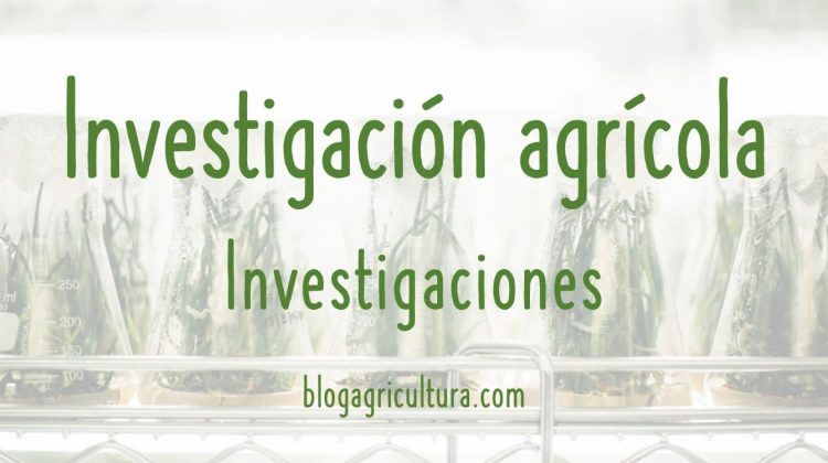 Investigación Agrícola