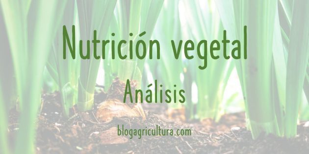 Nutrición Vegetal