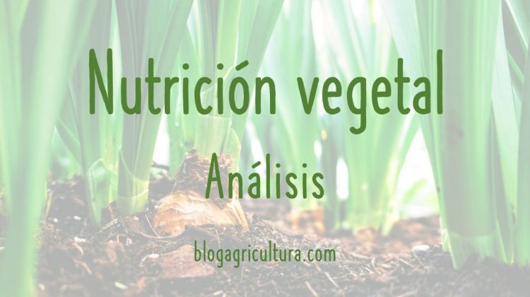 Nutrición Vegetal